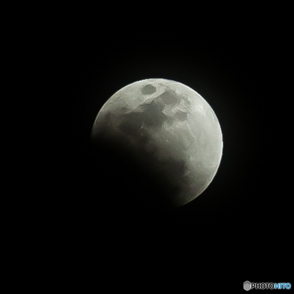 Eclipse Night