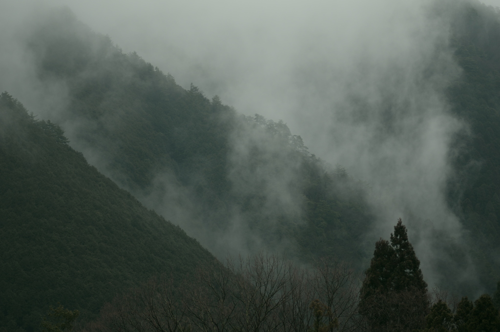 朝霧湧く