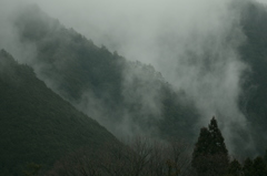 朝霧湧く