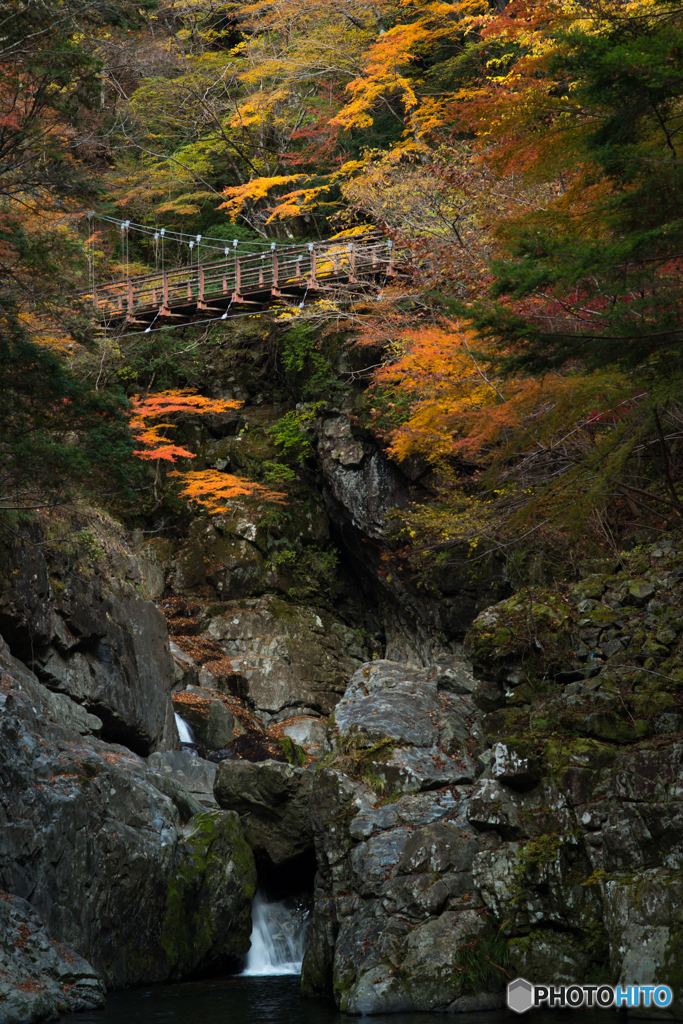 みたらいの滝