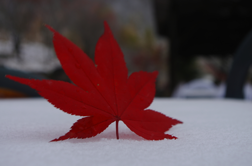 深紅