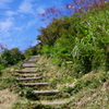 秋へ一歩