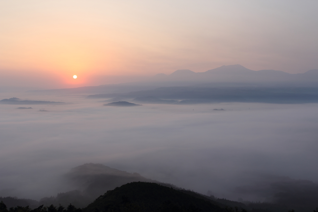 朝日に染まる雲海