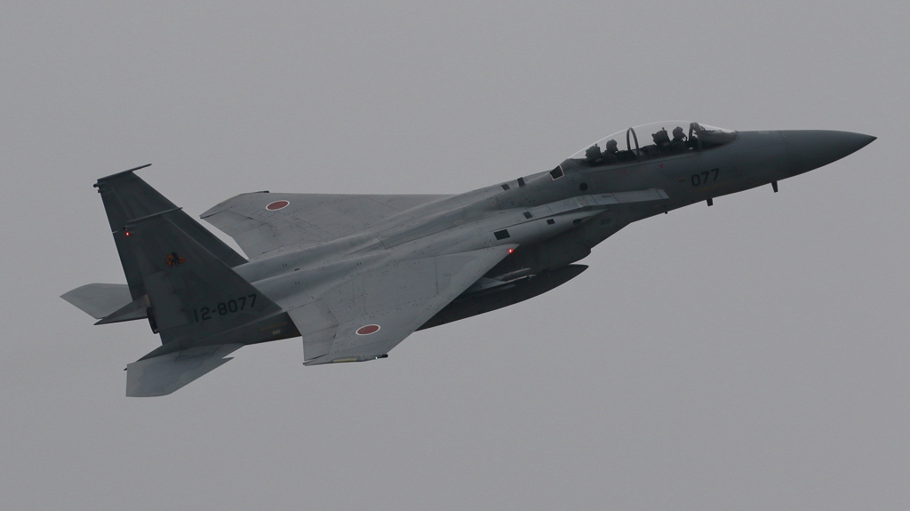 F-15DJ
