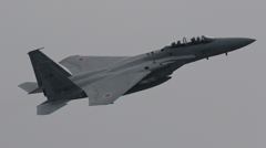 F-15DJ