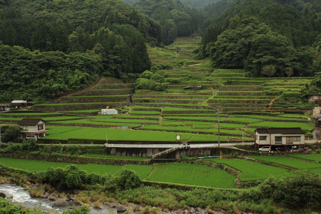 鬼の口棚田