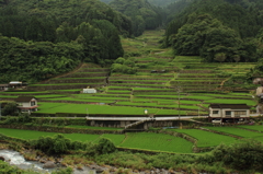 鬼の口棚田