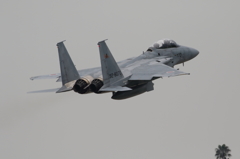 F15DJ
