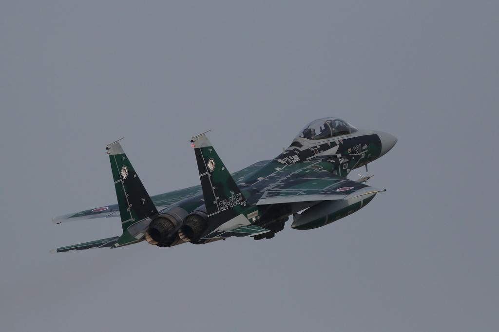 Aggressor③