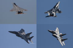 機動飛行
