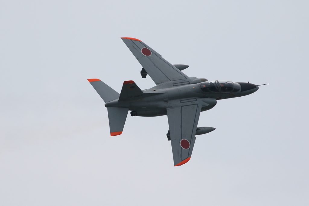 T-4の背中
