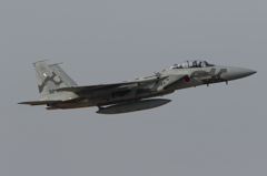 Aggressor