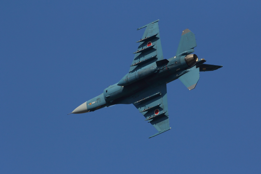 F-2のお腹