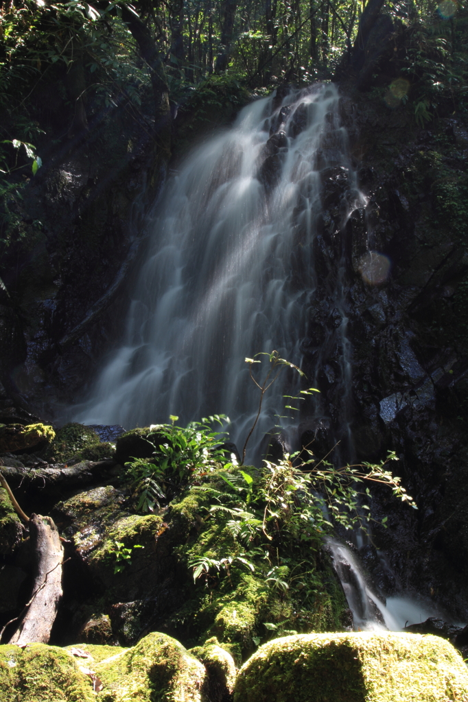 冷水の滝・小滝（奥十曽渓谷）