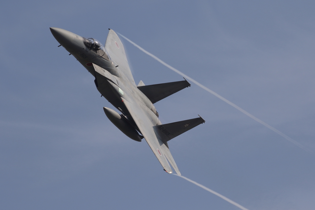機動飛行