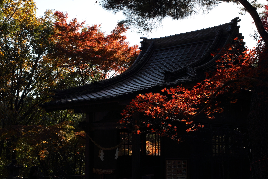 清水神社