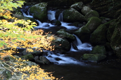 紅葉と渓流