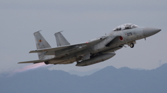 F-15DJ