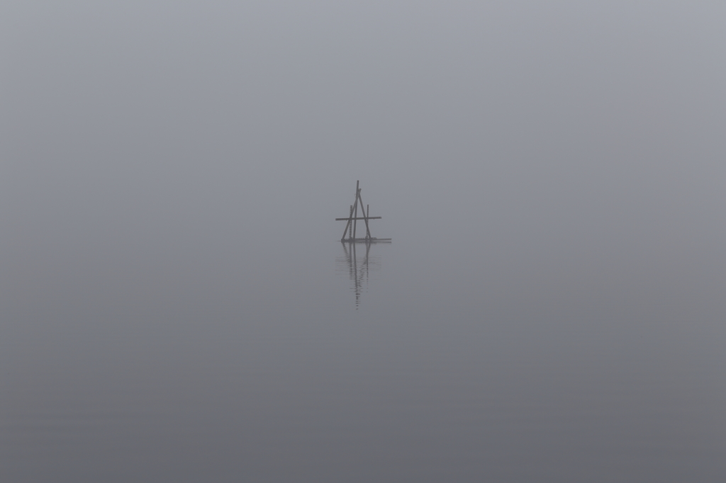 霧の中