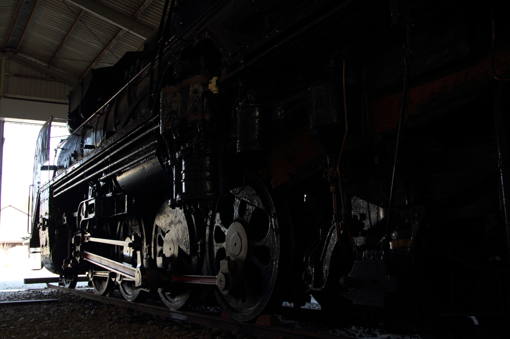 D51170