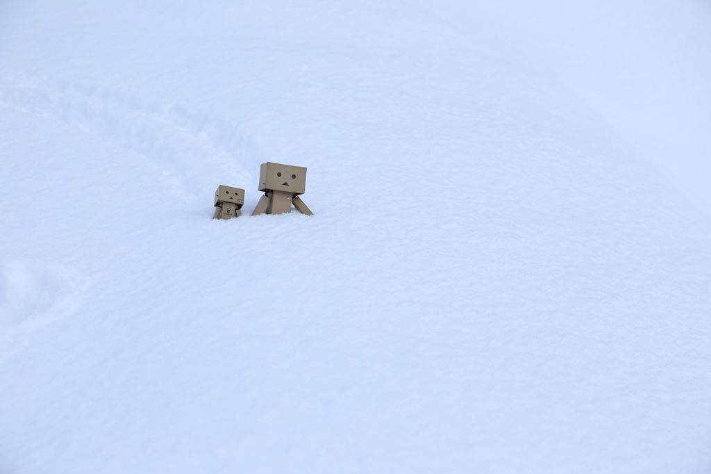 雪原を行く