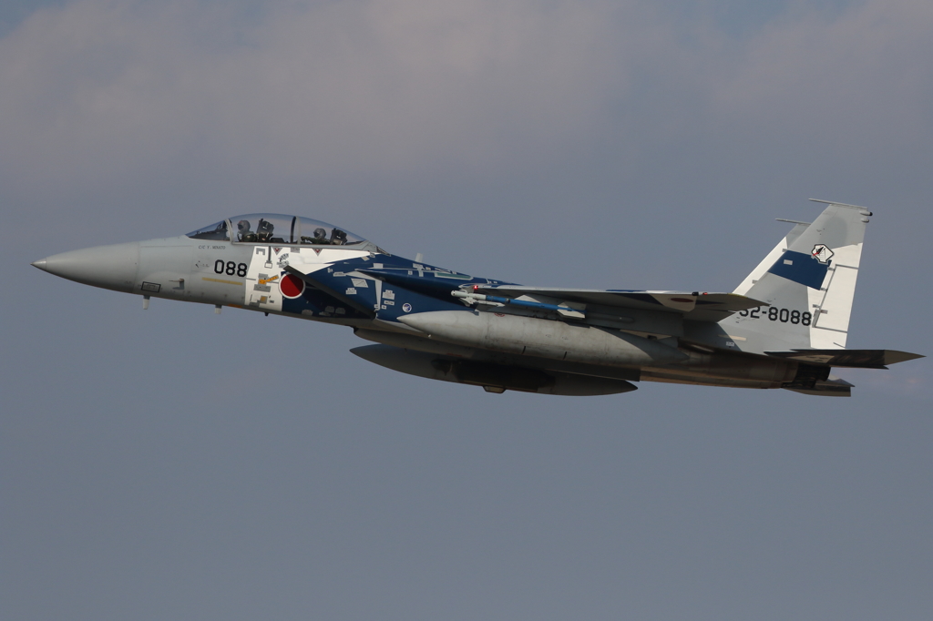 Aggressor