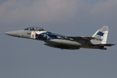 Aggressor