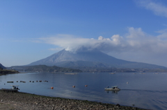 桜島