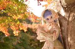 紅葉