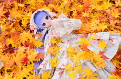 秋