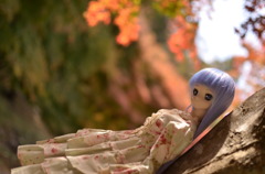 紅葉