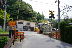 初夏の匂い