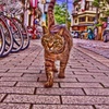 俺様のお通り