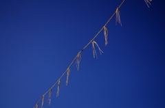 蒼天分ける