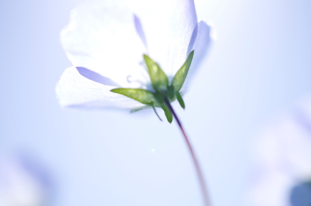 光