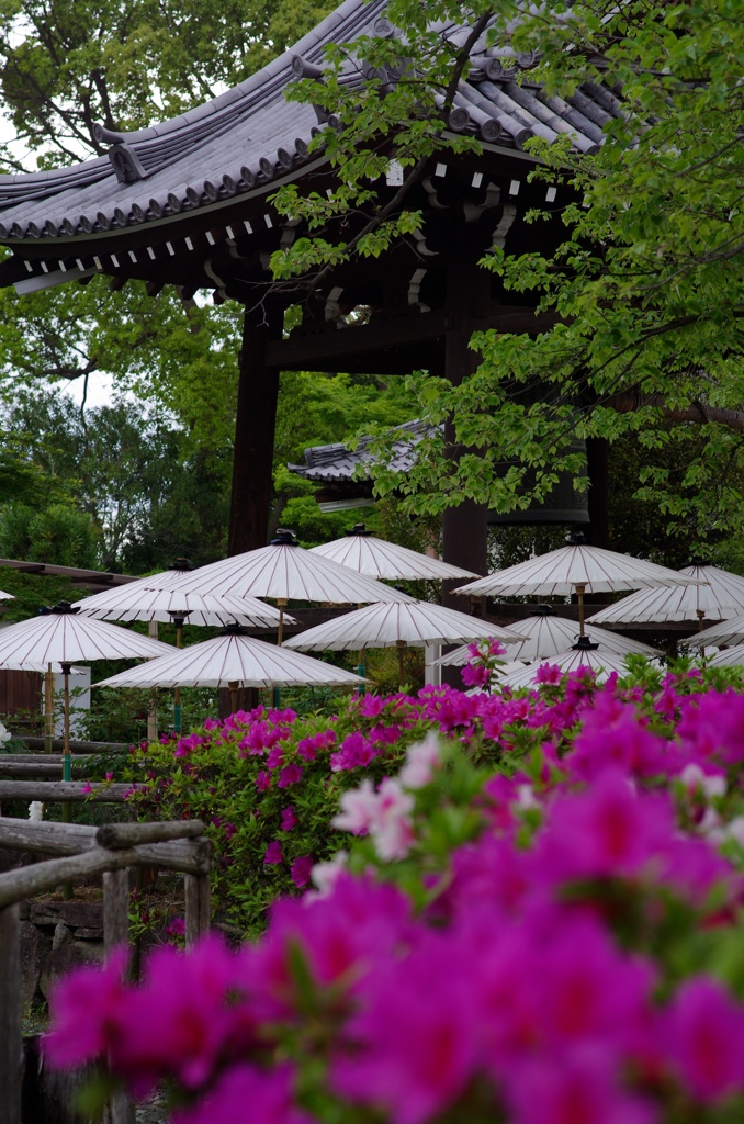 古寺の情景