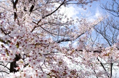 春風