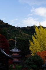 三室戸寺
