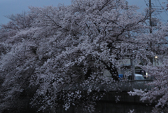 夜明け前の正久保橋