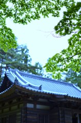 曇り