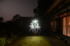 長時間露光・森