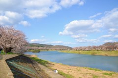 一目千本桜