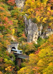 『紅葉と電車』
