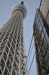 DSC_1069