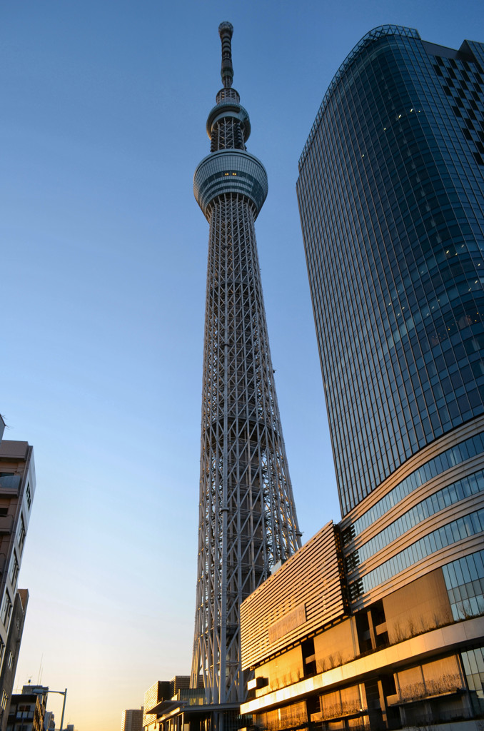 DSC_1055