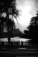 DSC_2085[1]