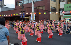 DSC_2872[1]
