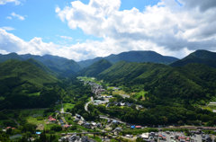 DSC_3136[1]