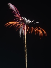 前沢花火 2013 ⑤