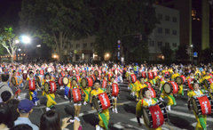 DSC_1146[1]
